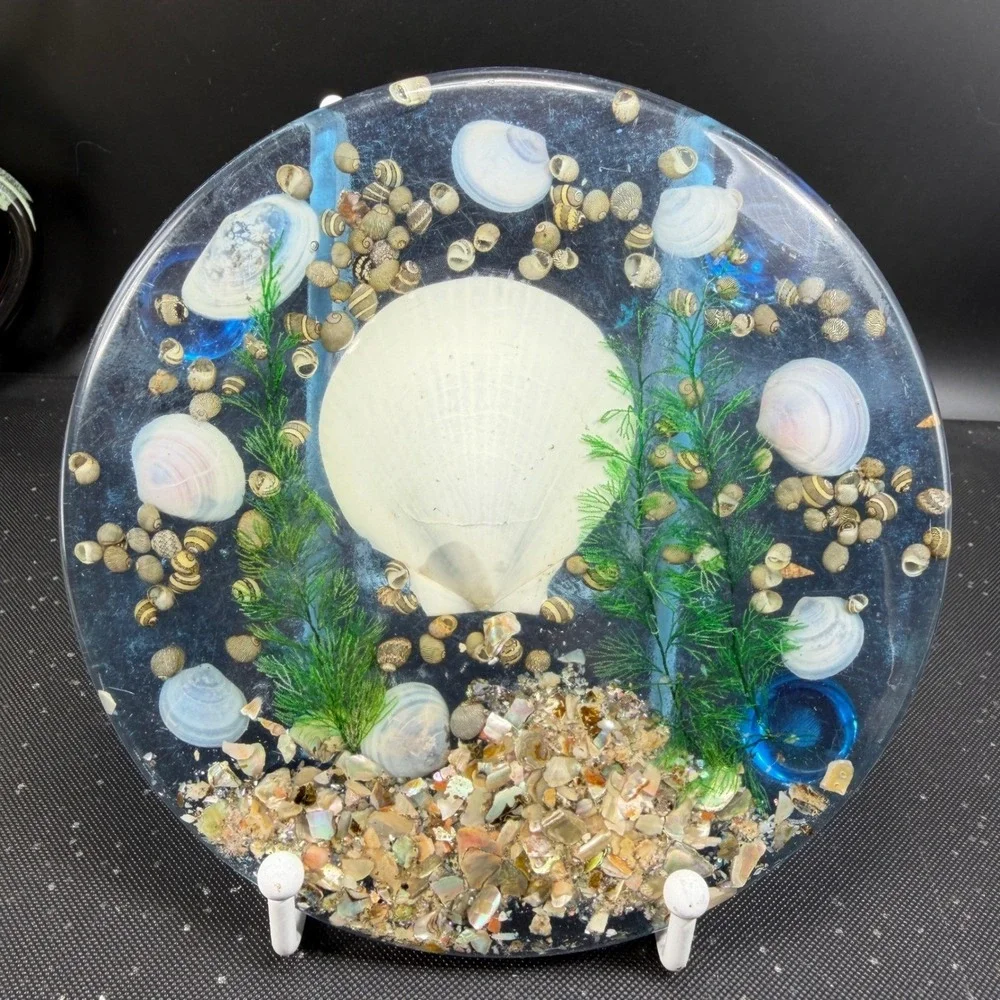Vintage Lucite Seashell Trivet 6 Inch Round Clear Resin Coastal Decor Blue White